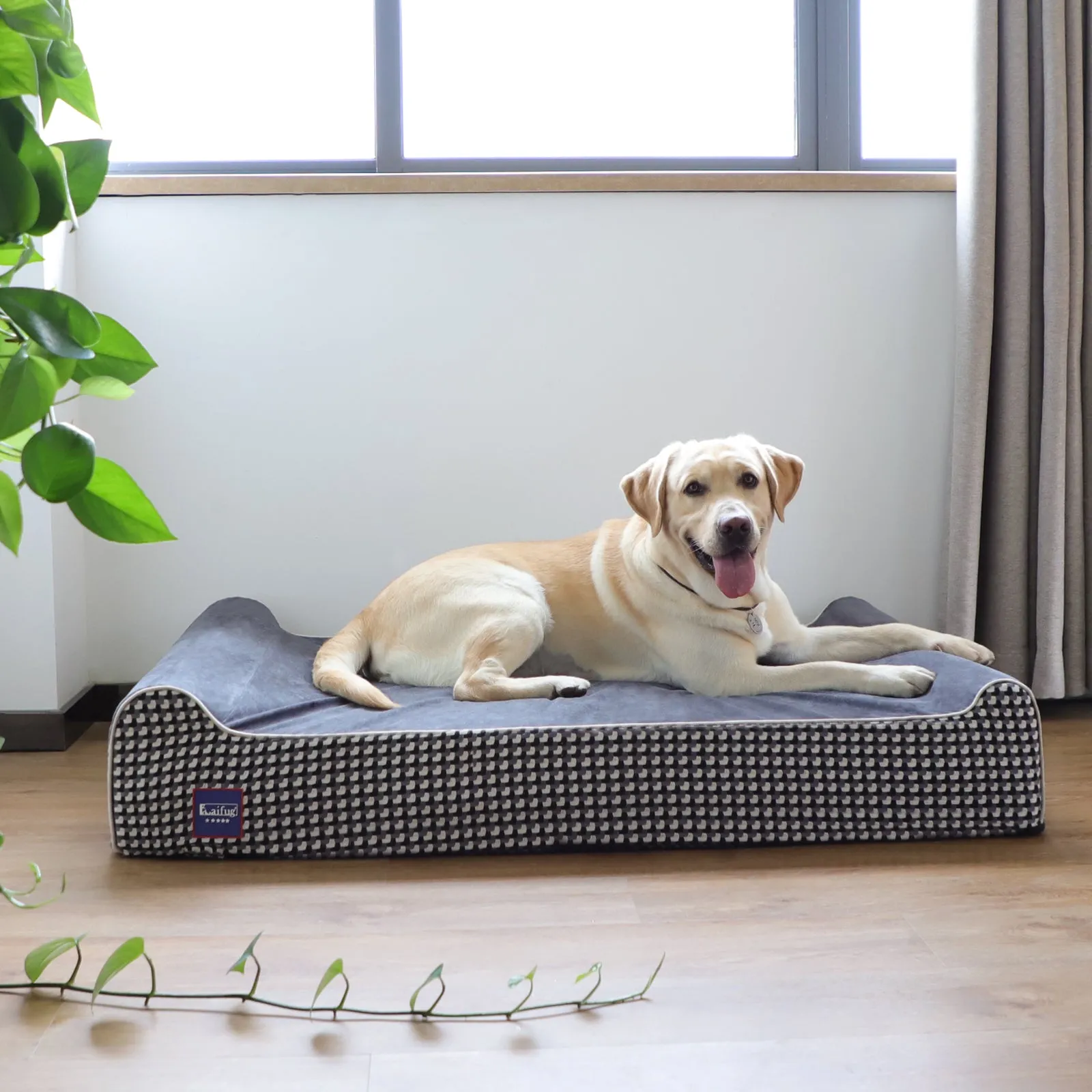 Extra-Large Double Pillow Orthopedic Dog Bed | Checkered Design