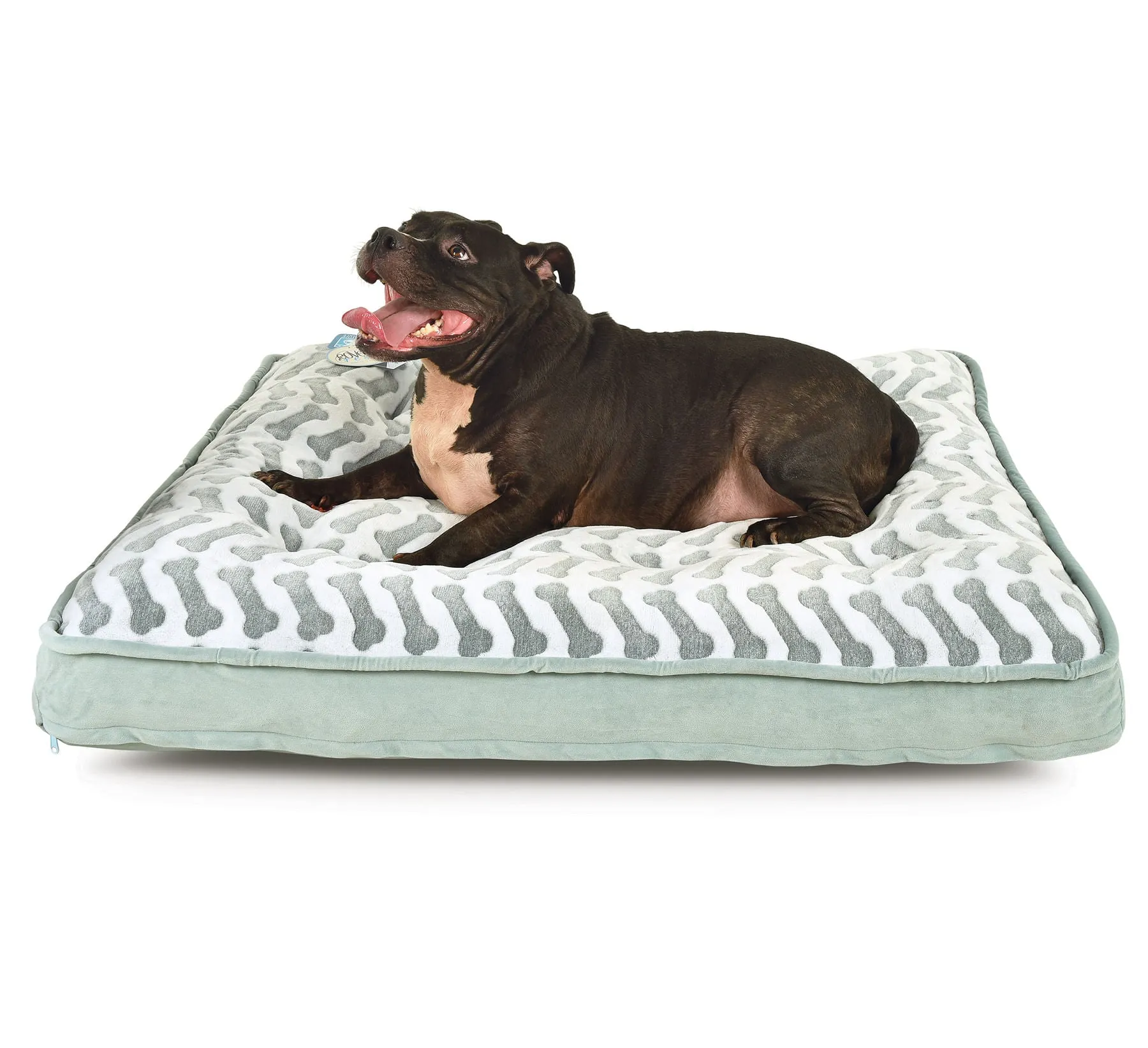 Queen-Size Waterproof Bella Orthopedic Mattress Bed