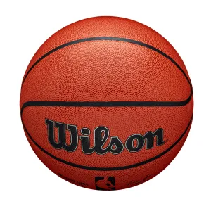 Wilson NBA Authentic Series Indoor Outdoor