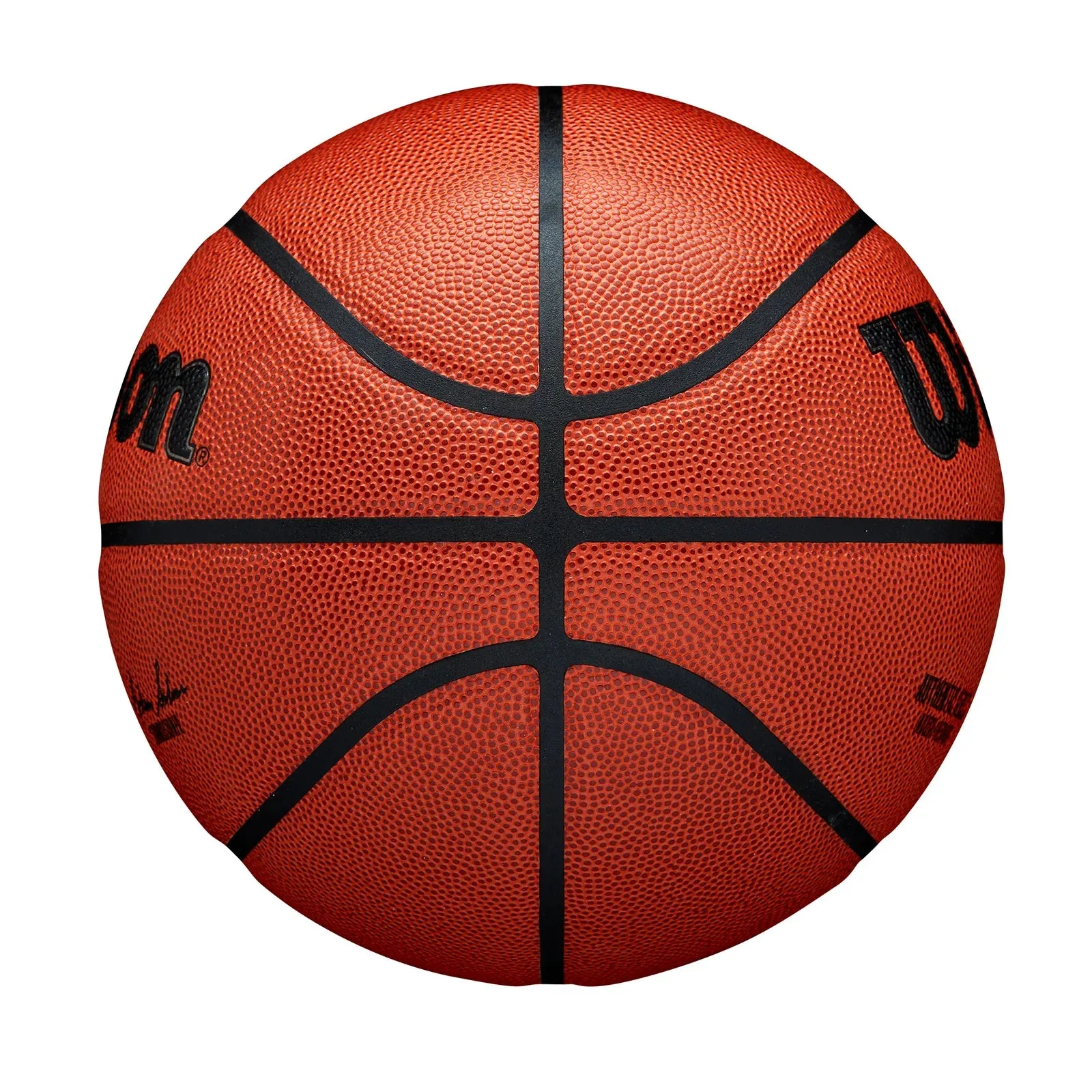 Wilson NBA Authentic Series Indoor Outdoor